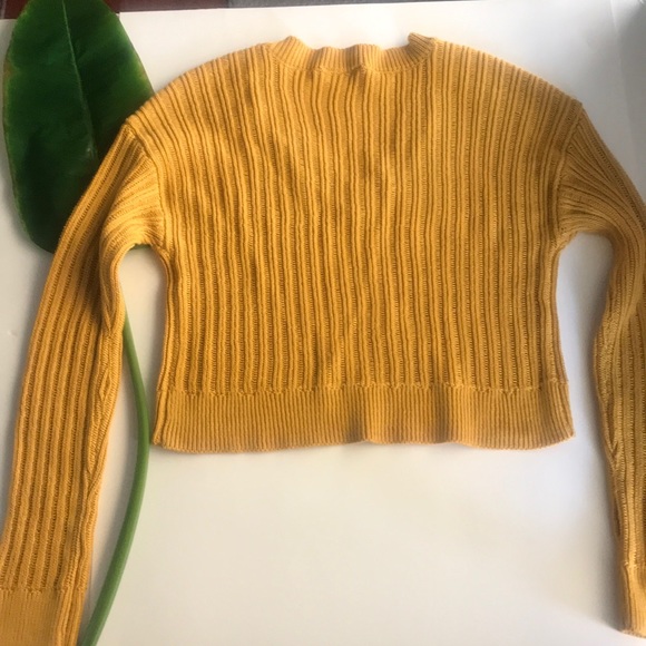 Sky and Sparrow Knit Crop Sweater - Picture 5 of 5